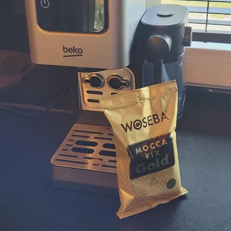 Lesna Przystan Sasino